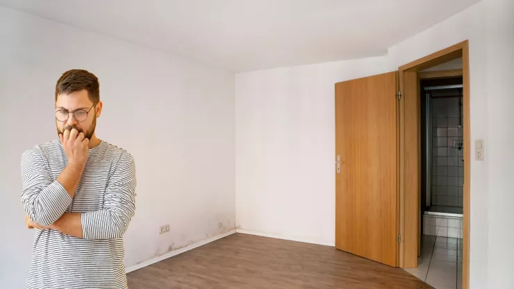 Así puede retirar la humedad de sus ambientes