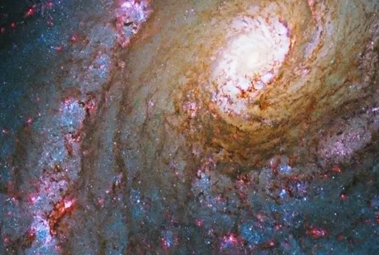 NASA te muestra cómo se veía el universo el día de tu cumpleaños