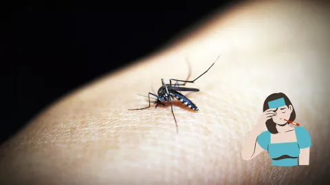 Dengue en Aguascalientes: Suman más de mil contagios en el estado; ¿cuáles son las zonas más afectadas?
