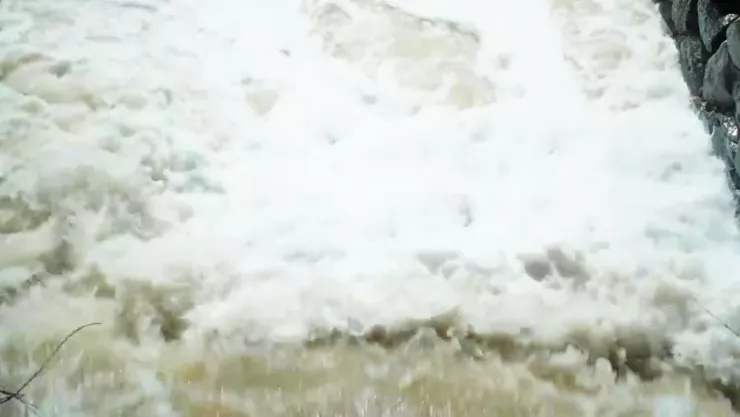 Detectan mutación del ADN en pobladores del Río Santiago en Jalisco