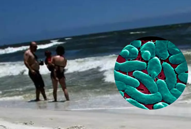 ¿Bacterias comecarne presentes en playas del Golfo de México