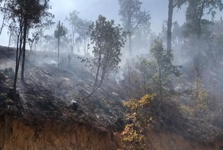 Arde cerro La Joyita en Agostitlán (1).jpeg