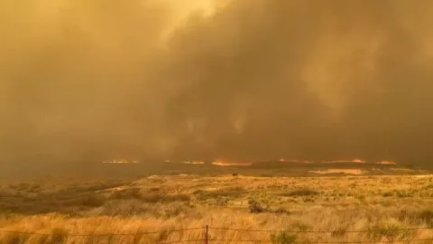 Incendio forestal en Texas
