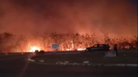 ÚLTIMA HORA: Incendio en el Malecón de Pensiones desata movilización del cuerpo de bomberos hoy miércoles 2 de abril de 2025