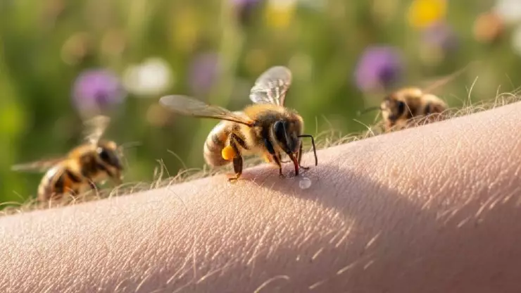 El asesino silencioso: Este es el insecto que cobra más vidas en México