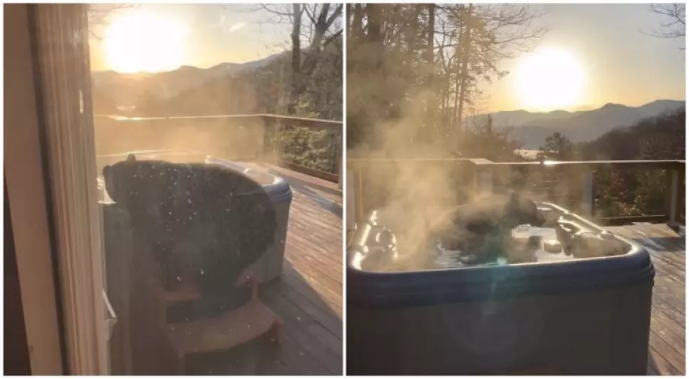 graban a un oso dándose un baño en un jacuzzi