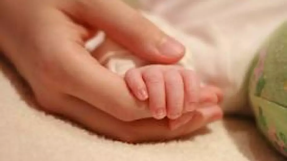 bebe