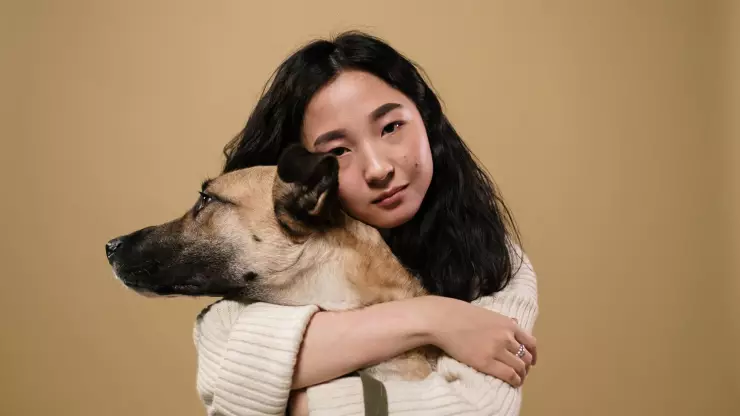 persona acaricie perros calle