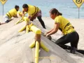 8 la isla 241023.jpg