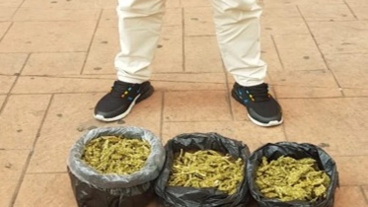 detenido con mariguana.jpg