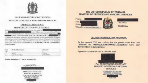 Los documentos que Peter Mirchev consiguió para hacerse pasar por el Gobierno de Tanzania y conseguir las armas del CJNG