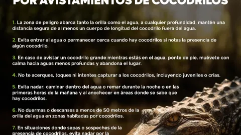 Cocodrilos