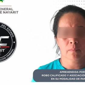 Detenida por robo de 500 mil pesos