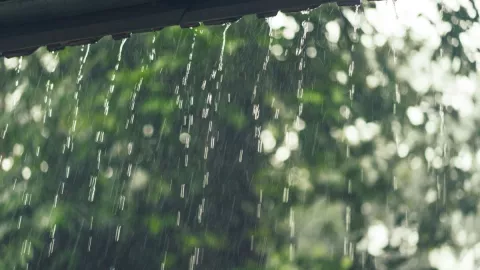 Primavera en Tijuana llega con lluvias y bajas temperaturas