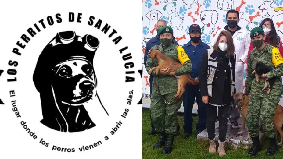 refugio de perros Santa Lucía Ejército.jpg