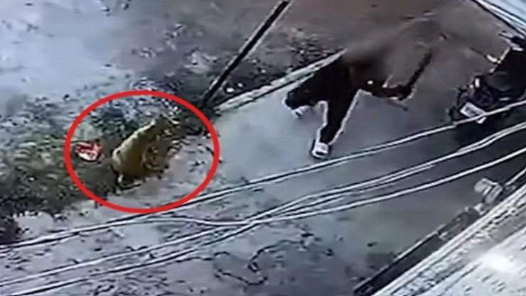 ‘Coqueto’ fue asesinado de un tablazo y el brutal momento quedó grabado; Fiscalía de Jalisco detuvo al presunto culpable.