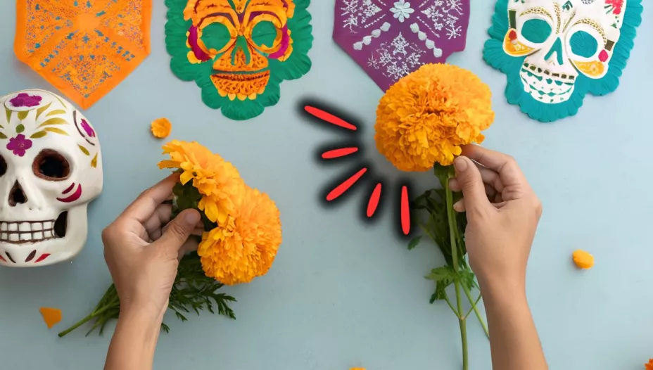 como-evitar-cempasuchil-se-marchite-antes-del-dia-de-muertos-trucos