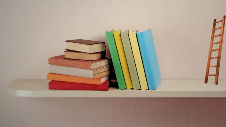 Ideas DIY Estantería flotante minimalista y elegante hecha con escaleras de mano antiguas.jpg