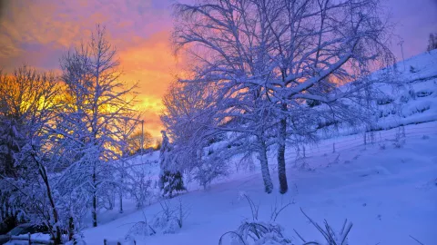 ¿Habrá nevada en Aguascalientes Este es el municipio se pronostican hasta -3°C el 25 y 26 de enero