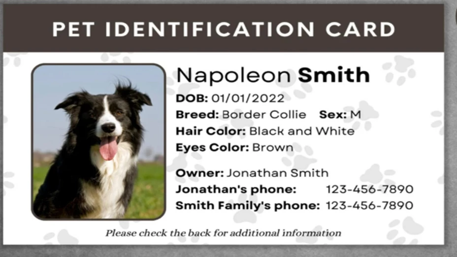 En Puebla hay CURP para mascotas