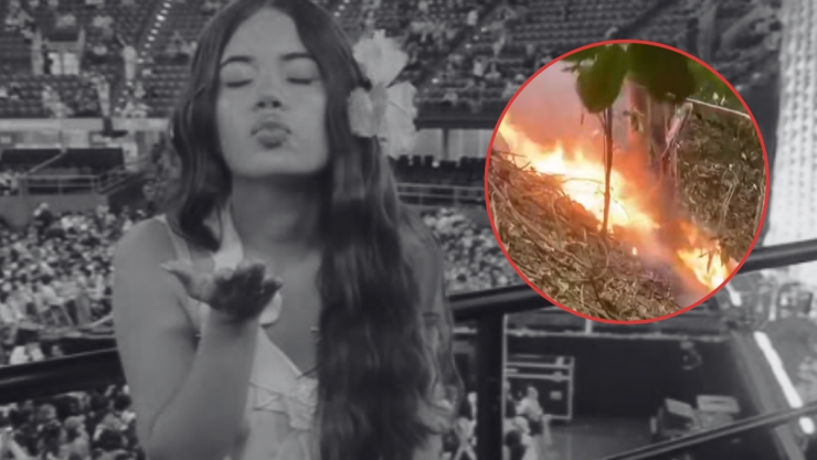 Muere influencer tras desplomarse su helicóptero