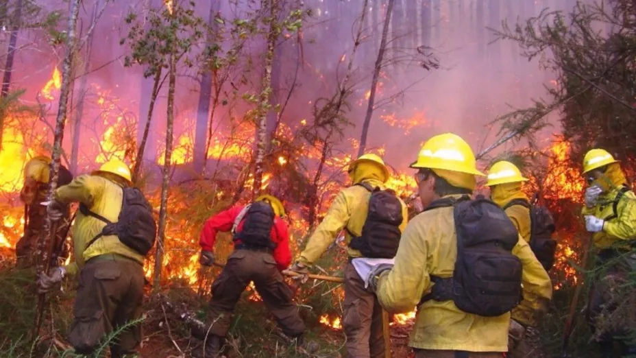 incendios forestales_semarnat.jpg