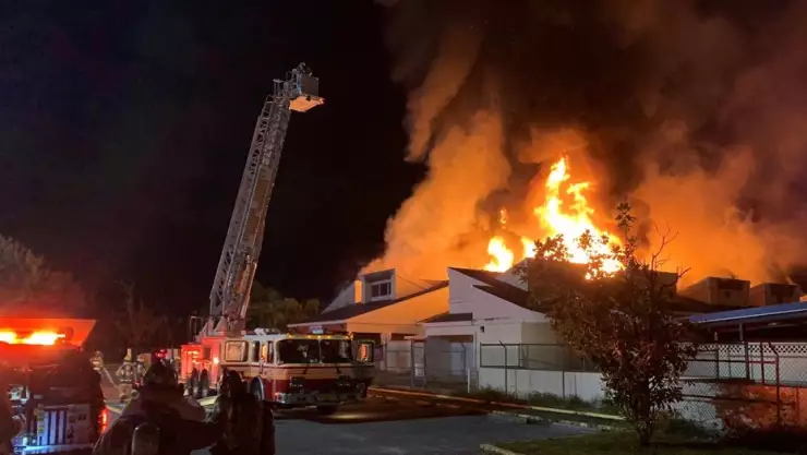 23 gatos mueres tras incendio en un refugio de animales en Florida