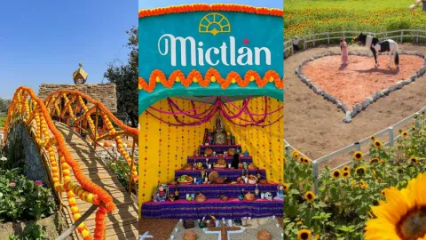 MICTLÁN EN TIJUANA ENTRADAS OCTUBRE