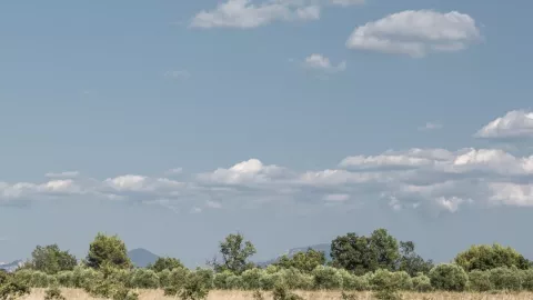 Estas son las olas de calor que faltan de llegar a México