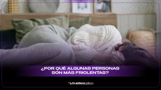 WhatsApp Image 2025-12-05 at 9.50.33 AM.jpeg