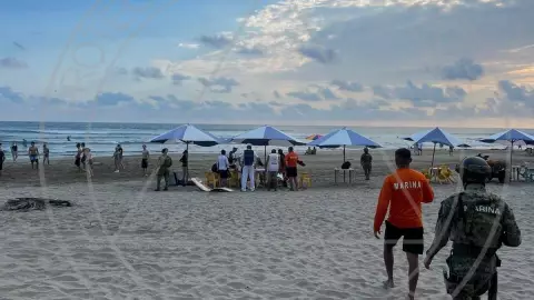 Leones casi muere ahogado.jpg