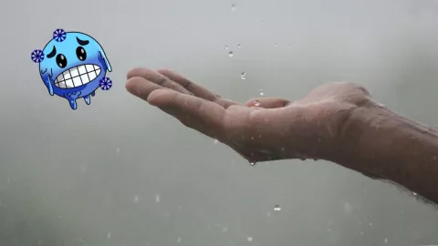 Clima Tijuana hoy lunes 17 de marzo de 2025 ¿Cuál es el pronóstico del tiempo por municipio en Baja California?