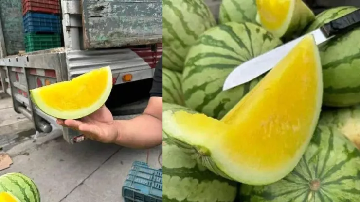 Sandía amarilla en el sur de Veracruz