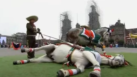 VIDEO - Caballo se hace el muertito en pleno desfile y causa sensación