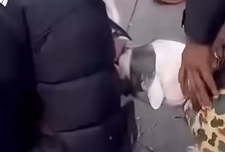 Pitbull ataca a bebé en Nueva York, video viral.png