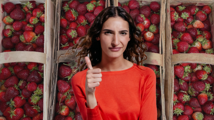 como-hacer-especiero-cajas-fresas.png