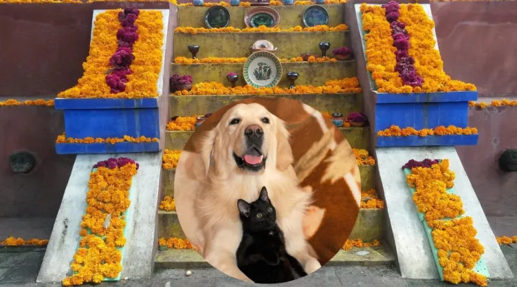 /estilo-de-vida/que-elementos-no-pueden-faltar-ofrenda-dia-de-muertos-mascotas