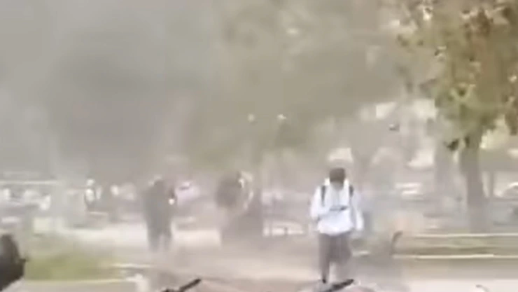 Pareja se salva de ser aplastada por una palmera en Bolivia