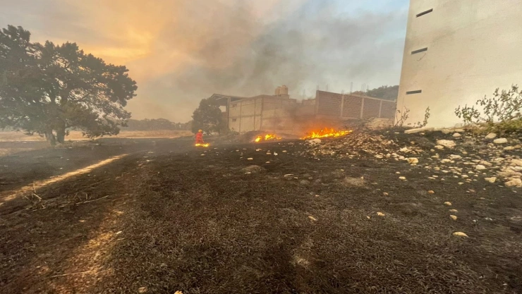 Quema de pastizal se sale de control en Papalotla, Tlaxcala