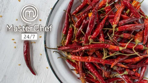 MasterChef chiles tipos ideas.jpg