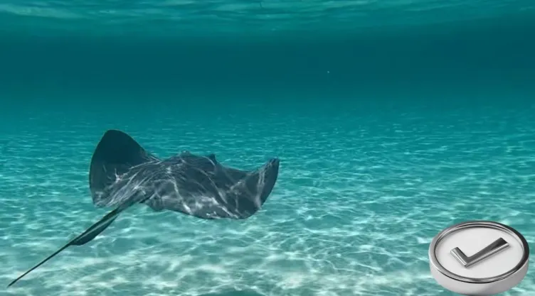 Las 2 playas de Quintana Roo con el agua más limpia y cristalina, según la IA.jpg