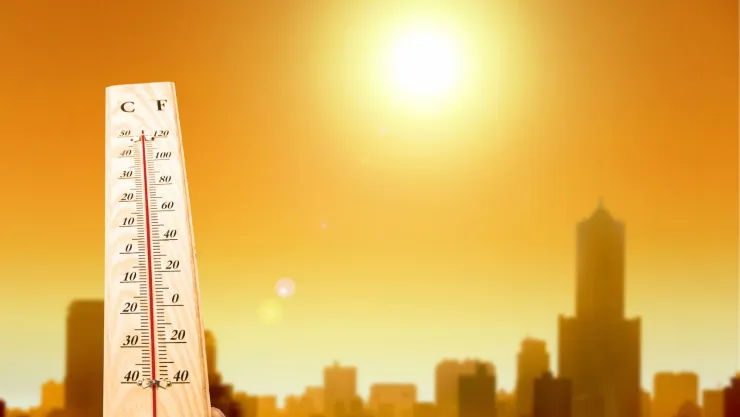 Altas temperaturas Noticias 1 jun 18