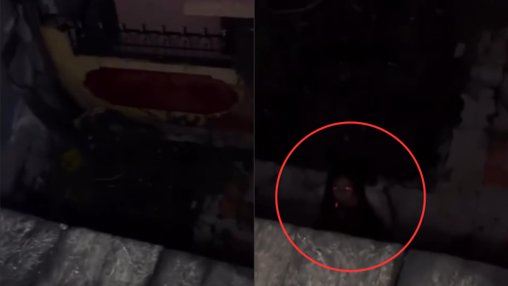 Demonio captado en video