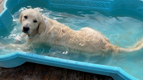 Yappy Hour