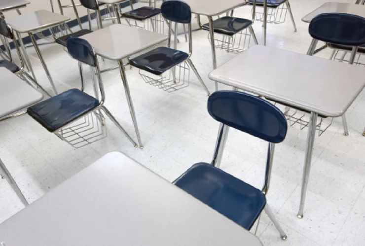 z - 2024-02-21T131411.828.jpg