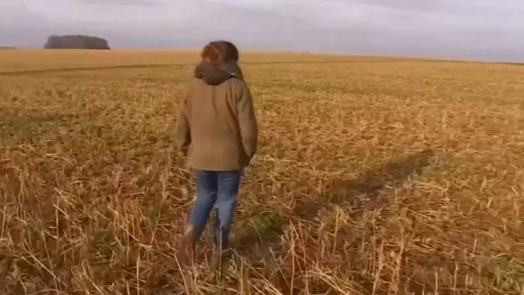 ¡Cae METEORITO en la tierra! Se reportan daños (VIDEO)