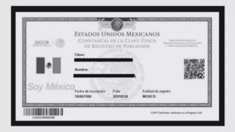 ¿Se cayó el sitio La forma alternativa de descargar tu CURP en línea gratis