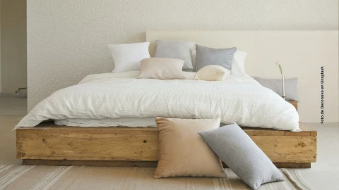 ¿Cómo limpiar los muebles infestados de chinches?