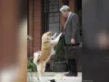 Famosos con un Hachiko en su vida (13).jpg