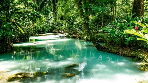 A diferencia de lo que opina el ChatGPT, los especialistas en turismo y los viajeros sostienen que es un lugar encantador para conocer.